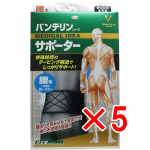 y ܂Ƃߔ5Zbg z oeT|[^[ p 傫 LLTCY ubN 1 y  z