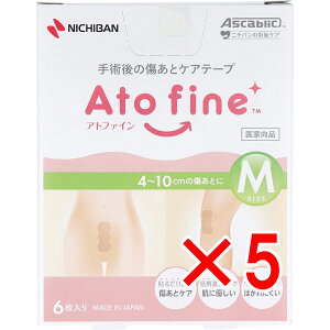 y ܂Ƃߔ5Zbg z Agt@C p̏ƃPAe[v MTCY 6 y  z