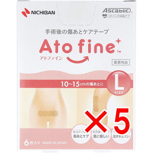 y ܂Ƃߔ5Zbg z Agt@C p̏ƃPAe[v LTCY 6 y  z