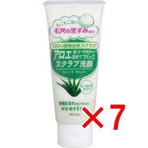 y ܂Ƃߔ7Zbg z Eei GubV AGt`złXNu 135g y  z