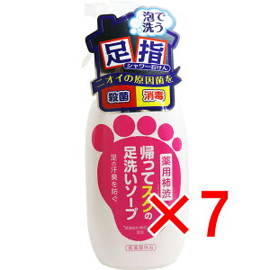 y ܂Ƃߔ7Zbg z p`a AăXȎ􂢃\[v 250mL y  z