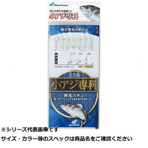 y ܂Ƃߔ17Zbg z  HS250-4-0.6 AW XL y  z