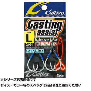 y ܂Ƃߔ10Zbg z I[i[ CA01 CTAVXgiuver.L y  z