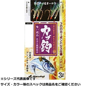 }tW F052 `JS ރToI[ 6 y  z