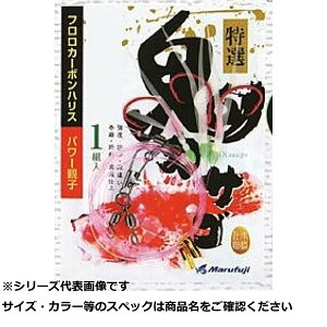 }tW E282 ISJTS 18 y  z