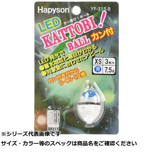 �n�s�\�� YF-313-B �J�b��{�[���J���t��XS �y �������� �z