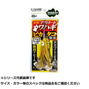 TT FSM24 DJnM sJ^RW KG y  z