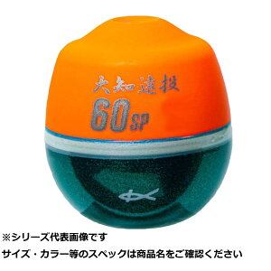 L 04290 m 60 SP LL 0.5 IW y  z