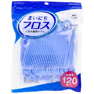 GrX ܂ɂtX 120{ B-D4681 y  z