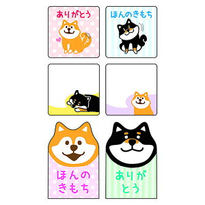 u pCubN ӂ V[gӂ  Ă LS00695 v y  z y yV MVP & ԗDǃVbv _uܓX z