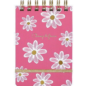 u {Nbv  VV A7 sN MOME01-PK v y  z y yV MVP & ԗDǃVbv _uܓX z