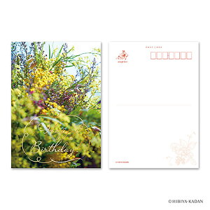 u _CS[ |XgJ[h Happy birthday-3 N7758 v y  z y yV MVP & ԗDǃVbv _uܓX z