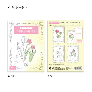 u _CS[ |XgJ[h hG|XgJ[h K N7777 v y  z y yV MVP & ԗDǃVbv _uܓX z