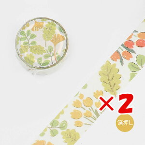 y ܂Ƃߔ ×2Zbg z u r[W[G }XLOe[v t BM-LGCD012 v y  z y yV MVP & ԗDǃVbv _uܓX z