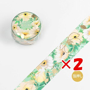 y ܂Ƃߔ ×2Zbg z u r[W[G }XLOe[v t[fB[EAll BM-SPFM004 v y  z y yV MVP & ԗDǃVbv _uܓX z