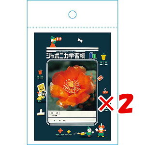 y ܂Ƃߔ ×2Zbg z u VEm[g W|jJA W|jJwK2  819998001 v y  z y yV MVP & ԗDǃVbv _uܓX z