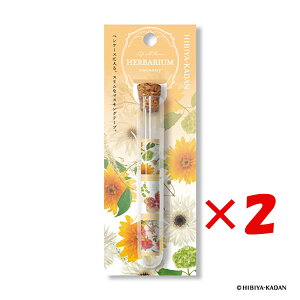 y ܂Ƃߔ ×2Zbg z u _CS[ }XLOe[v n[oE}XLOe[v IW N1900 v y  z y yV MVP & ԗDǃVbv _uܓX z