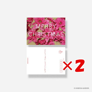 y ܂Ƃߔ ×2Zbg z u _CS[ |XgJ[h JԒd typography-02 Princettia N7741 v y  z y yV MVP & ԗDǃVbv _uܓX z