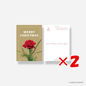 y ܂Ƃߔ ×2Zbg z u _CS[ |XgJ[h JԒd typography-04 A Rose N7743 v y  z y yV MVP & ԗDǃVbv _uܓX z