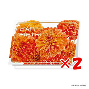 y ܂Ƃߔ ×2Zbg z u _CS[ O[eBOJ[h Happy birthday _A N7748 v y  z y yV MVP & ԗDǃVbv _uܓX z