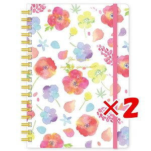 y ܂Ƃߔ ×2Zbg z u N[Ys Om[g naminamiB6Om[g AllƃsiX NB14614 v y  z y yV MVP & ԗDǃVbv _uܓX z