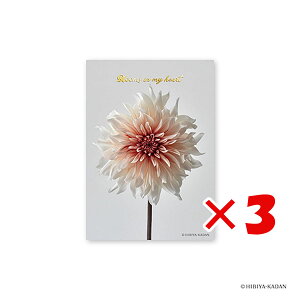 y ܂Ƃߔ ×3Zbg z u _CS[ |XgJ[h JԒd|XgJ[h _A3 N7723 v y  z y yV MVP & ԗDǃVbv _uܓX z