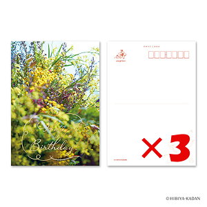 y ܂Ƃߔ ×3Zbg z u _CS[ |XgJ[h Happy birthday-3 N7758 v y  z y yV MVP & ԗDǃVbv _uܓX z