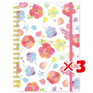 y ܂Ƃߔ ×3Zbg z u N[Ys Om[g naminamiB6Om[g AllƃsiX NB14614 v y  z y yV MVP & ԗDǃVbv _uܓX z