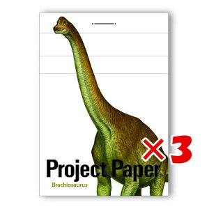 y ܂Ƃߔ ×3Zbg z u ILi vWFNgXeb` uLITEX PM3761 v y  z y yV MVP & ԗDǃVbv _uܓX z