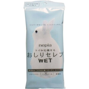 lsA gCɗ Zu EFbg łp 12 |  | ӂ  ZuWET łp | yV MVP & ԗDǃVbv _uܓX