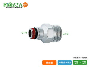 JN_C,019-001EA_v^[,𕪐Ep,t~ٕtiG1/4IX×G1/2IX)019-001