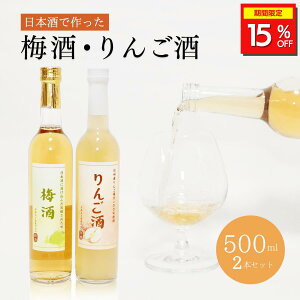 _15%OFFN[|zz^  {ł ~Eьl 500ml 2{Zbgy{ 쌧 ܖz{  ~ ь ʏ` L[ Mtg v[g r Ԍ 