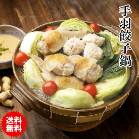 日本テレビ「ニノさん」で紹介！ 手羽餃子鍋セット (2-3人前) ［ 水炊き 鍋セット お取り寄せグルメ テレビ お歳暮ギフト 手羽先餃子 鶏肉 国産 お取り寄せ鍋 ハイブリッド鍋 水炊き鍋 博多 スープ お鍋セット コラーゲン鍋 送料無料 食いしんぼう祭 ］冷凍限定
