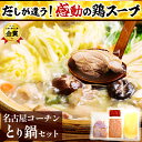 鍋セット 名古屋コーチン 水炊き 鳥なべセット 2-3名様用 ※お肉とスープのみ ［ 本物の地鶏 名古屋コーチン鍋セット とり鍋 水炊き 地鶏 純系名古屋コーチン 鶏肉 国産 お取り寄せグルメ 高級 鍋セット 送料無料 冷蔵 冷凍 選べる ］