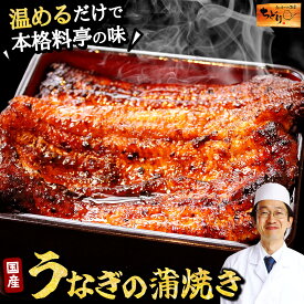 鰻の蒲焼き （ 大サイズ ・ 約160g程度 ・ 真空パック ） タレ付き ［ 国産 うなぎ 鰻 蒲焼き ウナギ 水郷 千葉 おくまや ちどり 利根川 坂東太郎 特大 お中元 夏ギフト 父の日 や 誕生日 プレゼント 食いしんぼう祭 ］