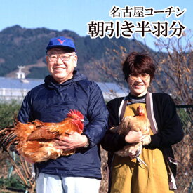 名古屋コーチン 本物の地鶏！ ハーフ もも・むね・ささみ各1枚セット 新鮮 鶏肉 国産 名古屋コーチン