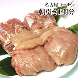 名古屋コーチン 本物の地鶏！ 新鮮 鶏肉 国産