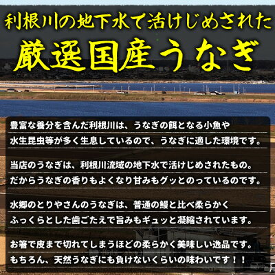 楽天市場 鰻の蒲焼き 大サイズ 約160ｇ程度 タレ付き 国産 うなぎ 鰻 蒲焼き ウナギ 水郷 千葉 おくまや ちどり 水郷のとりやさん