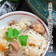 ＼今ならエントリーで最大ポイント10倍／ 水郷どり炊き込みご飯 2合用 鶏めし 鶏飯 お取り寄せグルメ テ…
