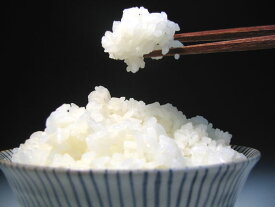 【送料無料】千葉県認証の『あんしん米』減農薬コシヒカリ【10kg（5kg×2袋）】※単品発送のため、冷蔵・冷凍商品との同梱はできません。別途送料がかかります。