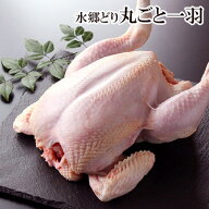 鶏肉 国産 水郷どり 丸ごと 1羽 中抜き ［ 国産 ブランド 鶏 千葉県産 産地直送 新鮮 とり肉 鳥肉 水郷と…