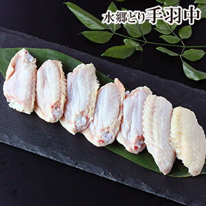 { ǂ H 300g Y uh { tY Yn VN  Ƃ  Ƃ H ē Ă