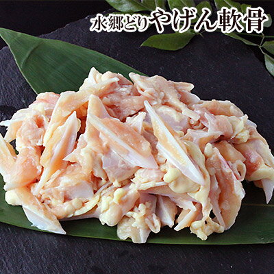 げん 軟骨 や