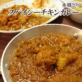 水郷どり スパイシーチキンカレー 【 インド風カレー 鶏カレー 千葉県 】