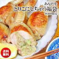 ＼今ならエントリーで最大ポイント10倍／ 送料無料！ アナタをとりこにしちゃう福袋 ★ 初回限定お試しセ…