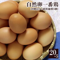 ＼今ならエントリーで最大ポイント10倍／ 放し飼い 自然卵 （一番鶏）「20個詰」(＋破損保障分5個) ［ 鶏…