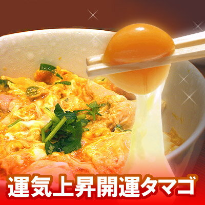 水郷どりの親子丼セット