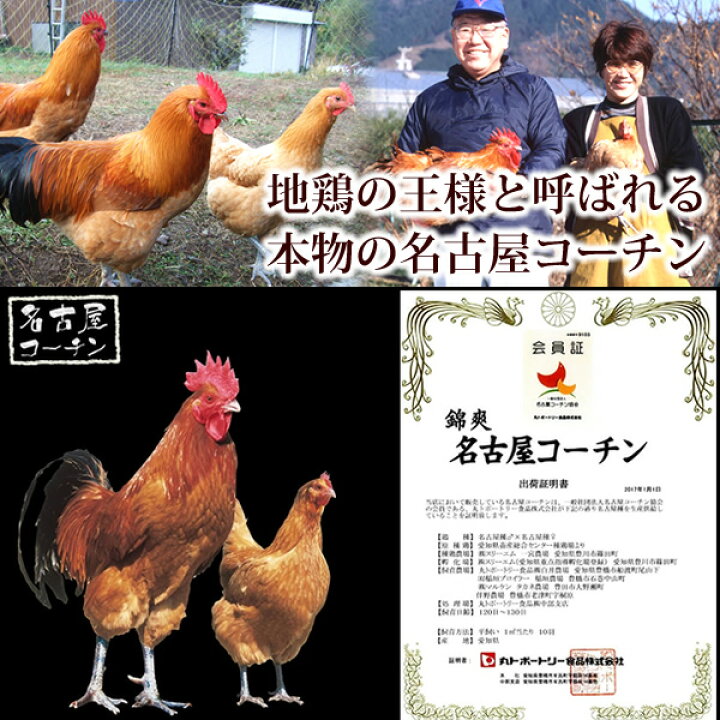 楽天市場 名古屋コーチン 焼き鳥 むね生串4本入り 生 地鶏 鶏肉 国産 やきとり 焼鳥 ヤキトリ 串もの ギフト q セット バーベキュー キャンプ 業務用 冷凍 限定配送 冷蔵限定商品とは同梱できません 水郷のとりやさん
