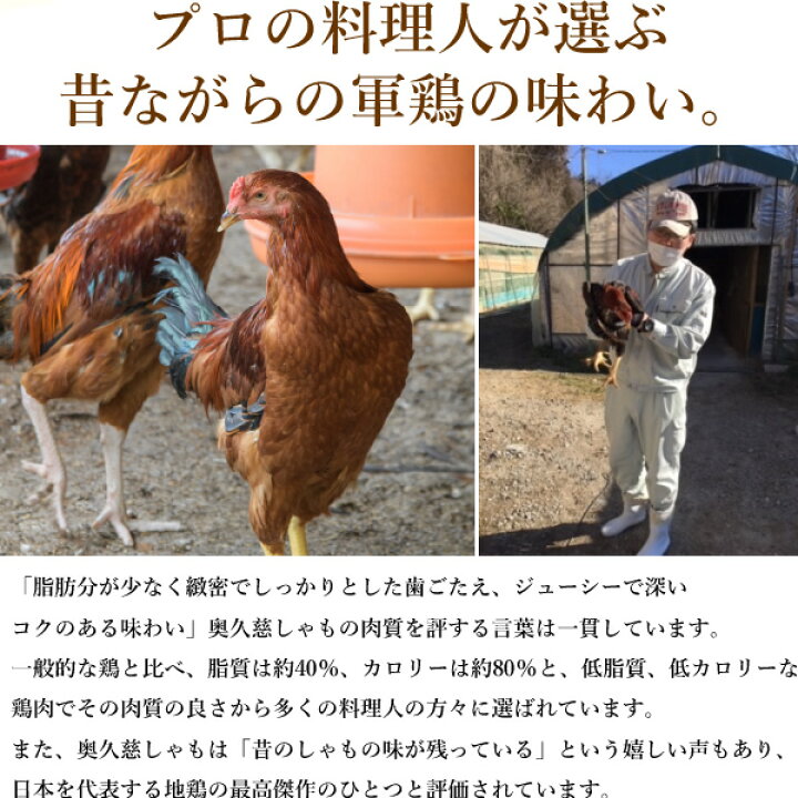 楽天市場】地鶏 奥久慈しゃも 焼き鳥 もも 生 串 10本セット ［ 生 