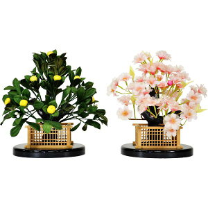 ЂȐl` Ђȓ Pi i   k 21cm 5  158908